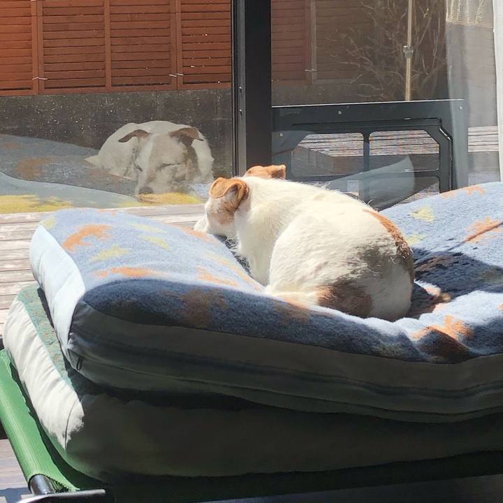 4375a254 2181 42fd 9b38 a44749ccb093 1551883133352