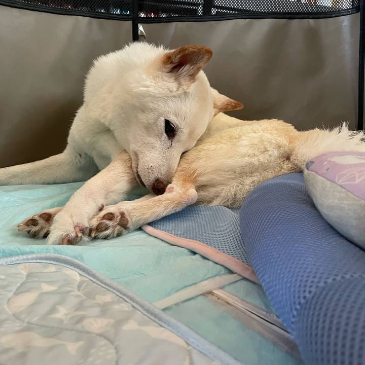 43761d66 0cef 40e2 9431 c41693828dfd 1660108087116