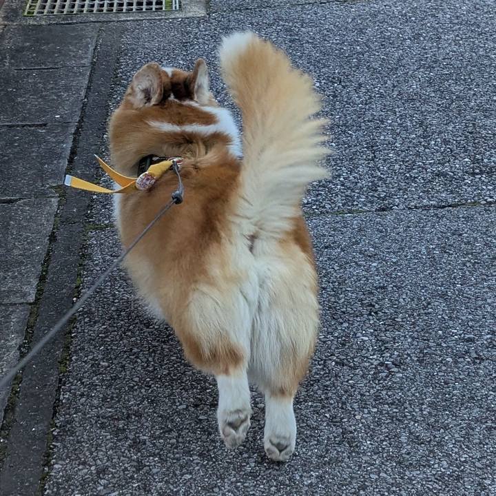 4376c8c0 fc66 4bd2 beb2 b60bffea5a5a 1762315329224