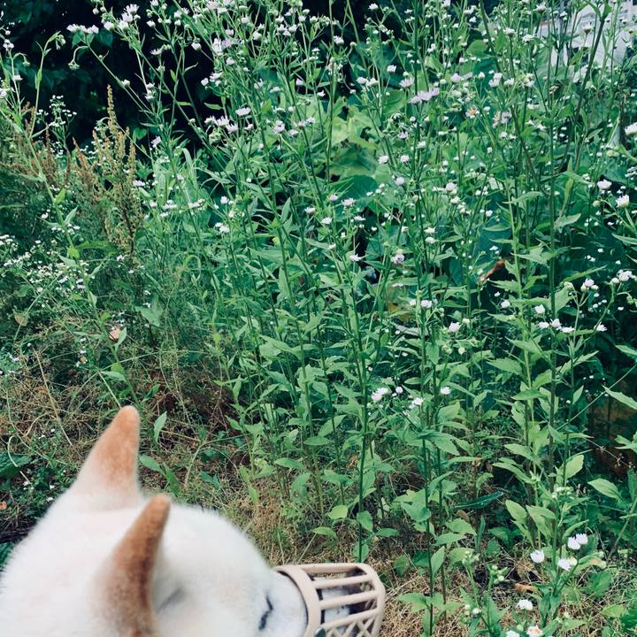 4376e628 95a8 443a b98d 956f949f5605 1625521641712