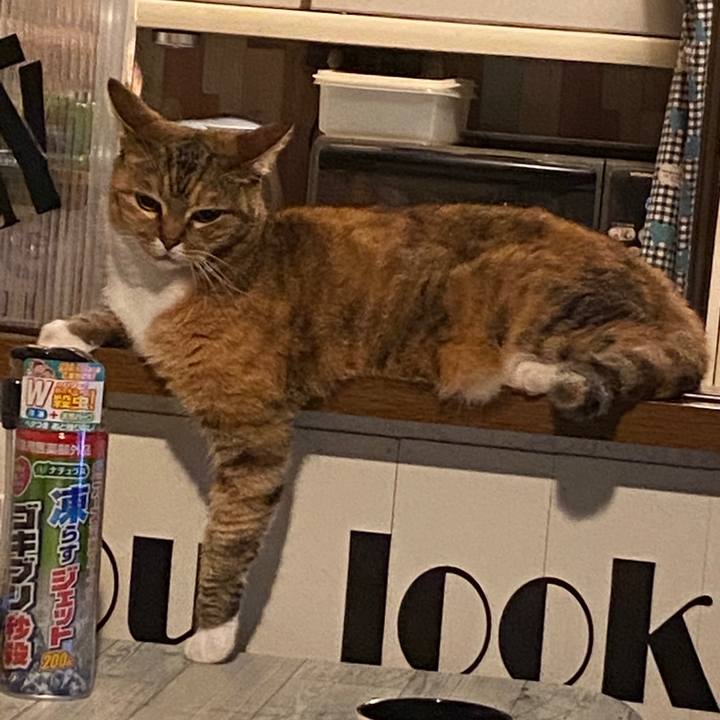 43775695 a5d9 4b78 8c56 37efb1295789 1593219031818