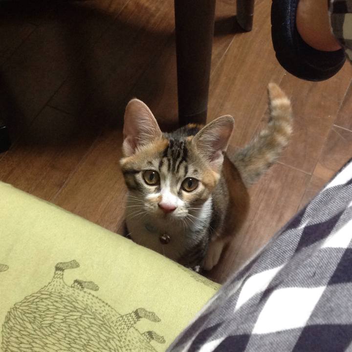 43775f67 c075 4f41 b24d 311991598185 1628596039166