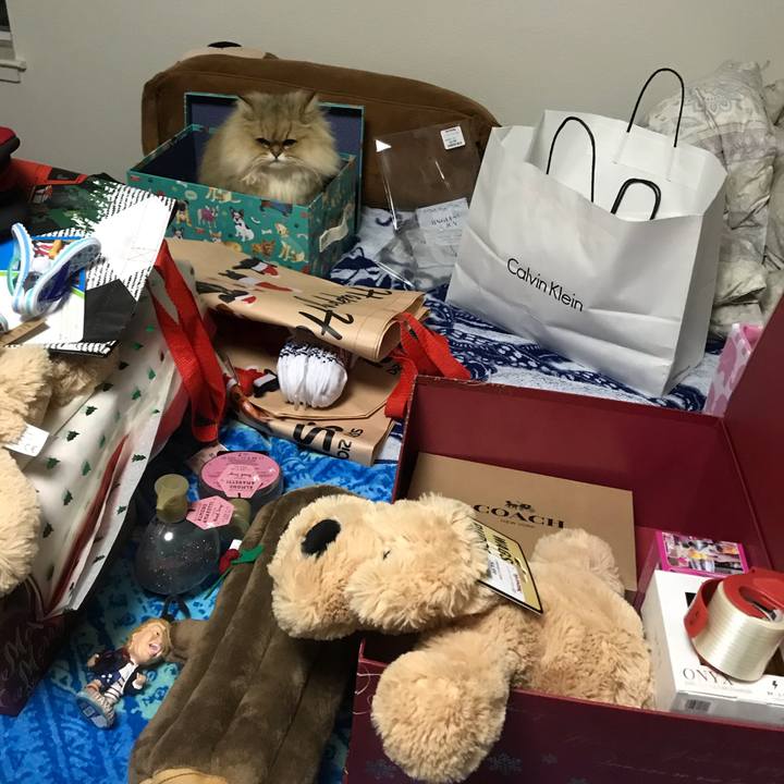 4377bf93 5a47 445d a981 c0192ccaff71 1543141360973