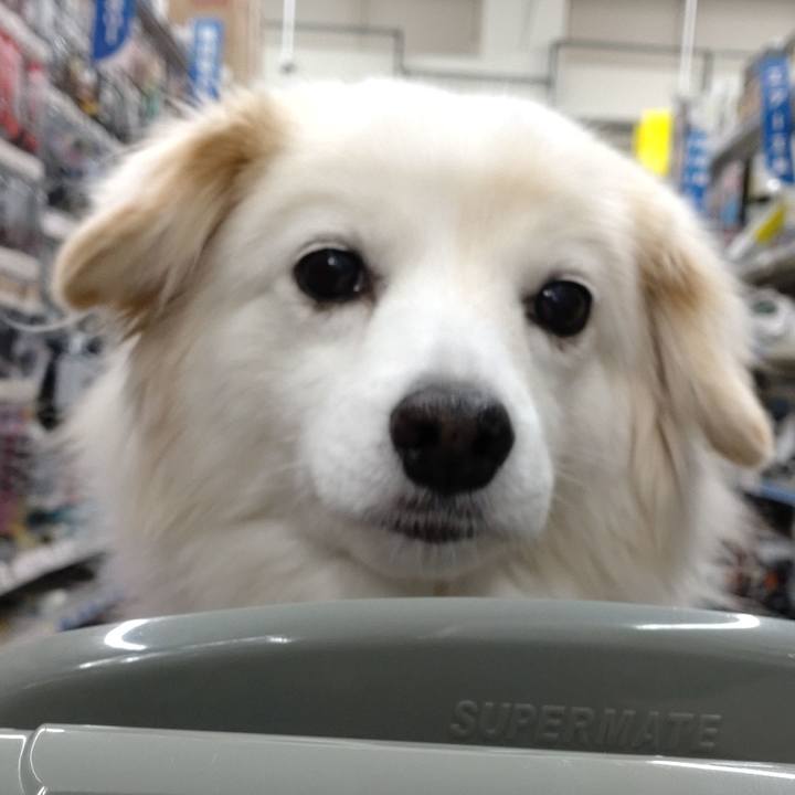 4377ca52 1e66 46c9 98a8 9dff597299db 1640926852139