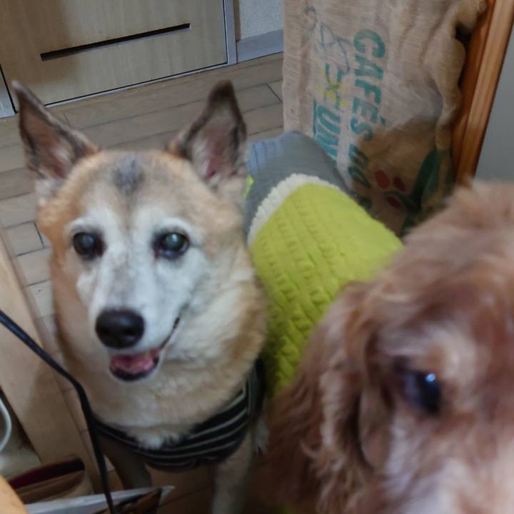 43781085 ceae 43c0 a7be 71ea96e4d64e 1704783504761