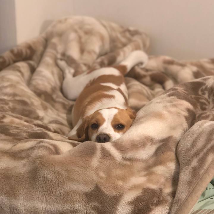 437833f5 6f27 4d6d 9fcc 41f3837a84d8 1552386835678