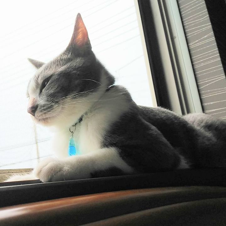 4378421b a29d 4064 9641 e5884edafe34 1593127034902