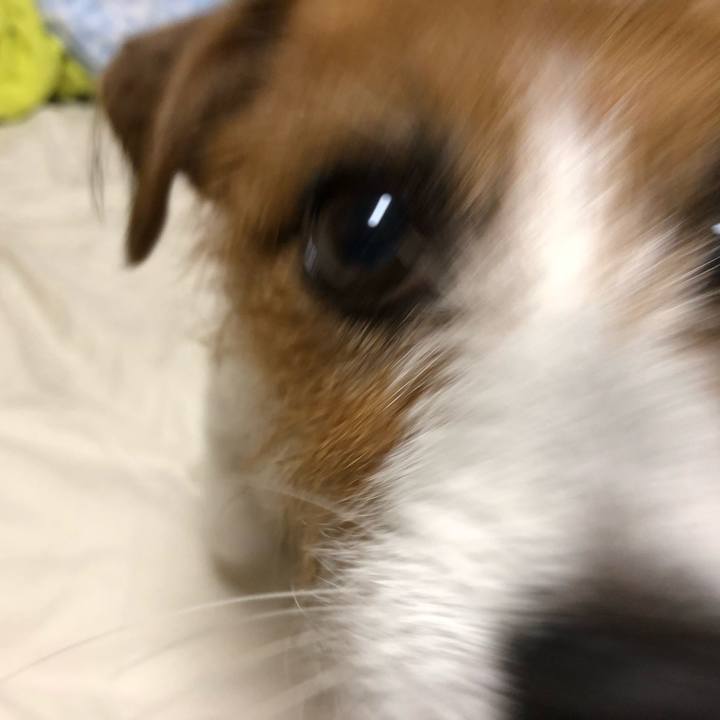 437848c6 ece7 4966 b58c 9e7a2054e107 1540127823390