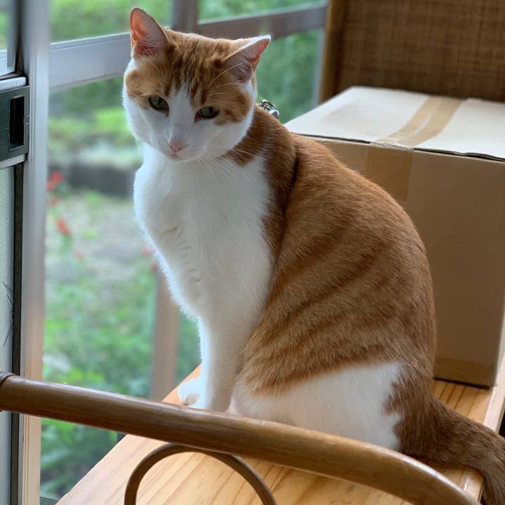 43789316 3ec9 4249 bf64 9cc0d16ed0f5 1595644313520