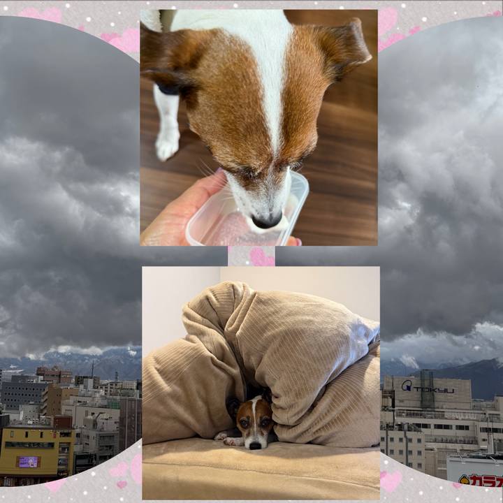 4378d774 900e 4923 85d6 b07474a16074 1768118837391