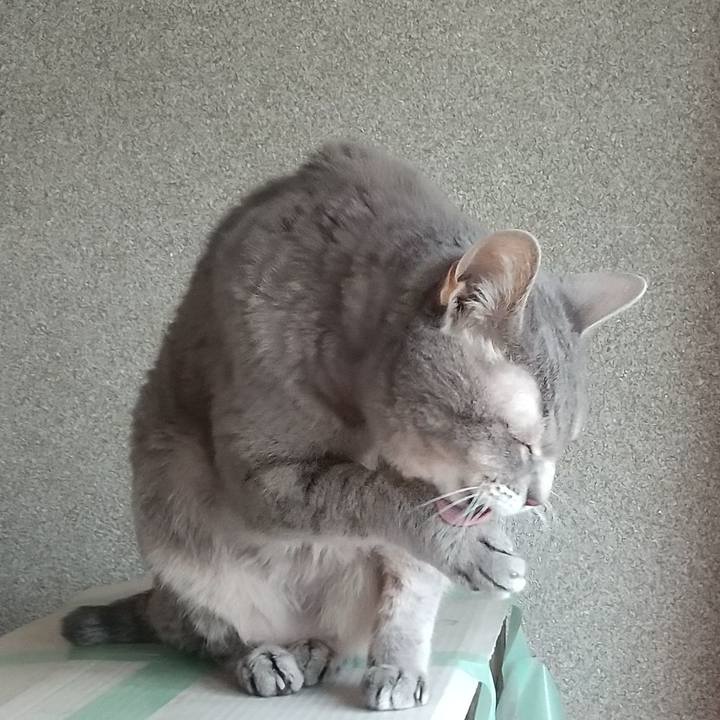 4378ee9c 114a 42bc 95da c7527bf4e180 1696743404258