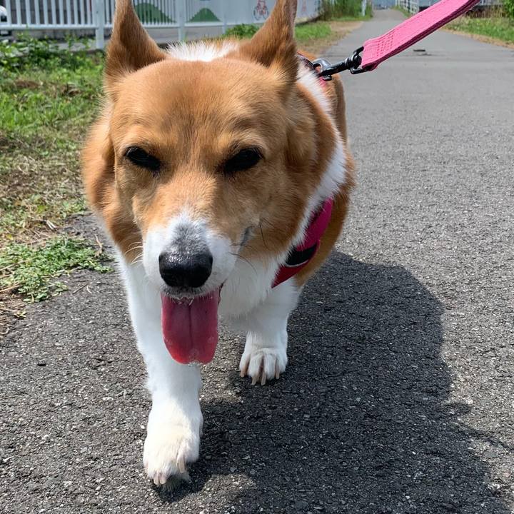 4378f99f 1303 4469 bcf9 573ba3ac7652 1714356266492