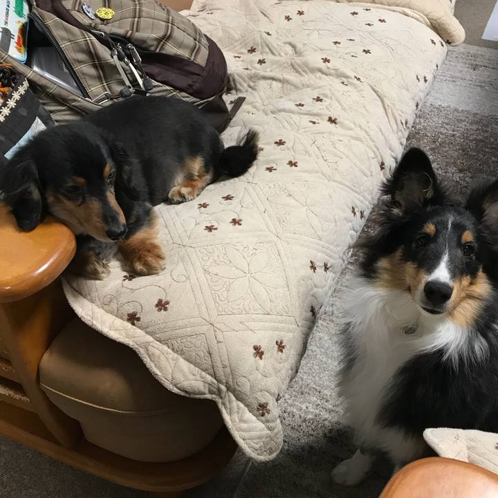 437972e6 6992 4e51 b585 17fe67a44fa2 1519855046008