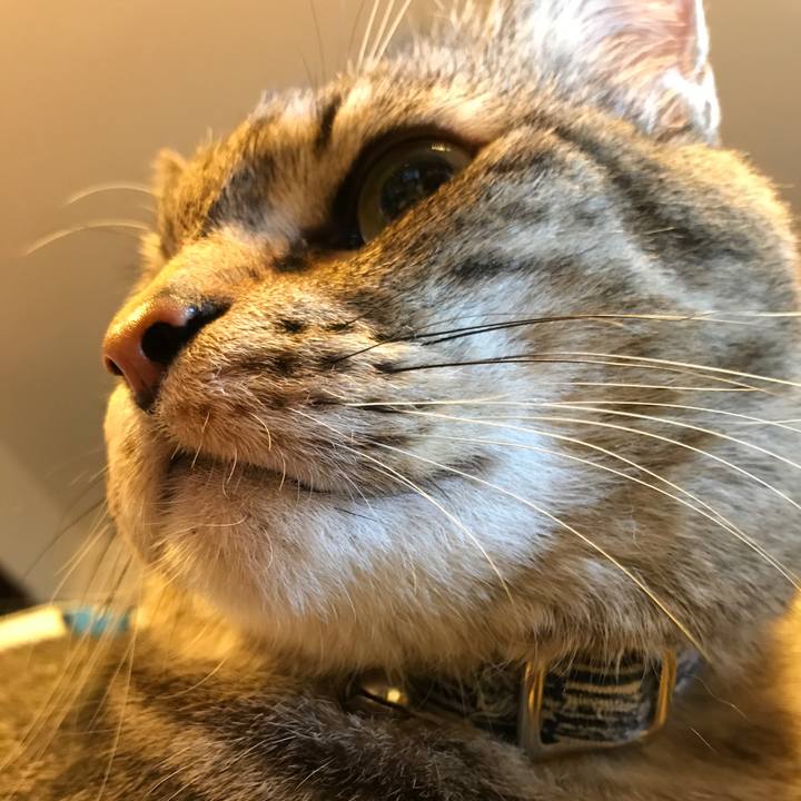 43799491 f7d6 45e7 a1f4 7f7e02f095f9 1557955705678