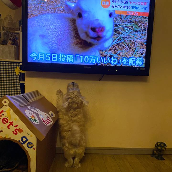 4379c360 f5a3 4295 9329 8a81d852c214 1641898758479