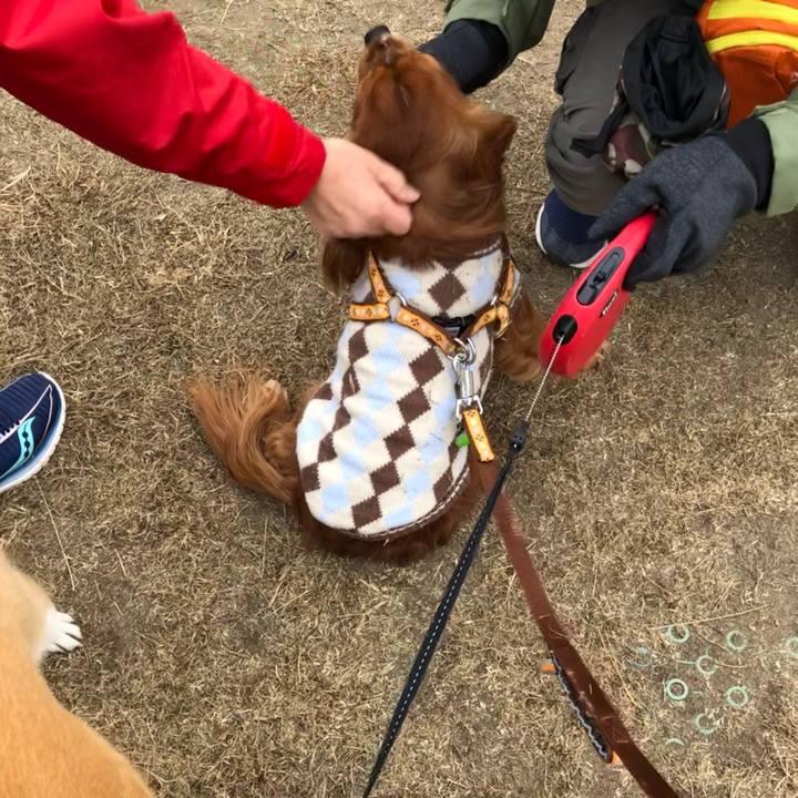 4379d13a a8f6 4c87 ab15 58bcc8df75d5 1610327137192