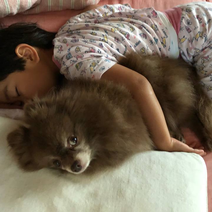 4379f7a4 3f65 47a9 bc45 4fd6d54d4098 1564628801344