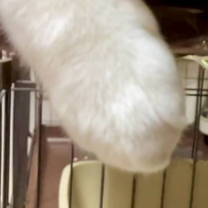 4379fb0d 3c36 473d b5b6 d29dd9a203c4 1728552956633