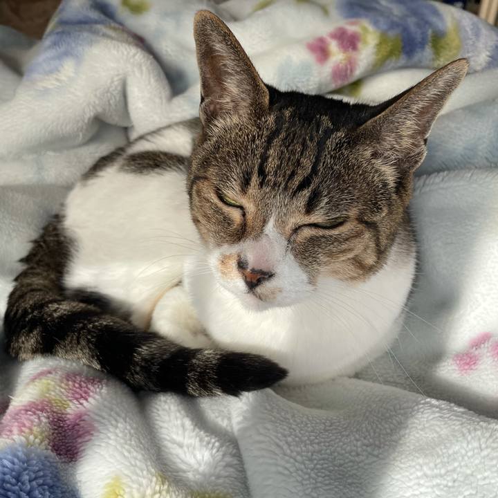 437a16d4 8d85 42ad 8fd3 e0b88099d64f 1617416159507