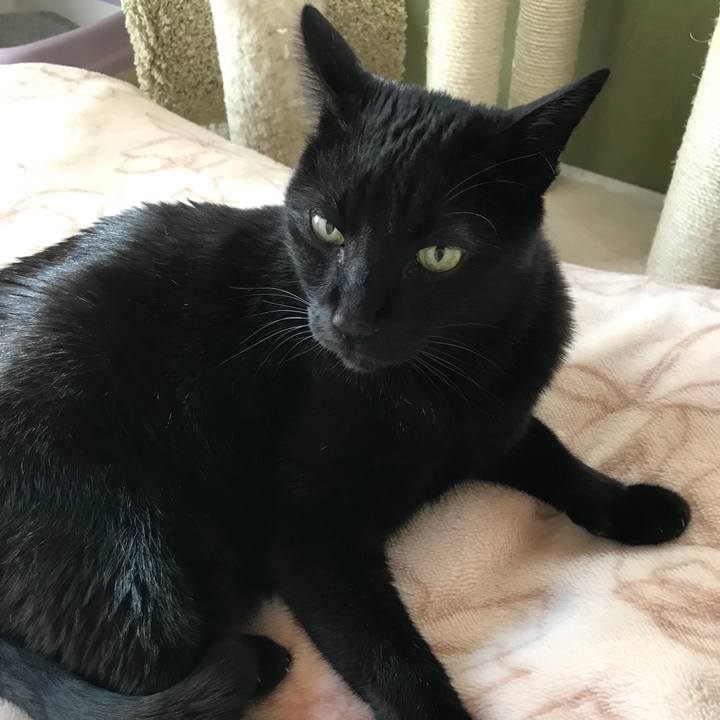 437a22c7 faa4 49bc a5b0 e234f7368d23 1521076794168