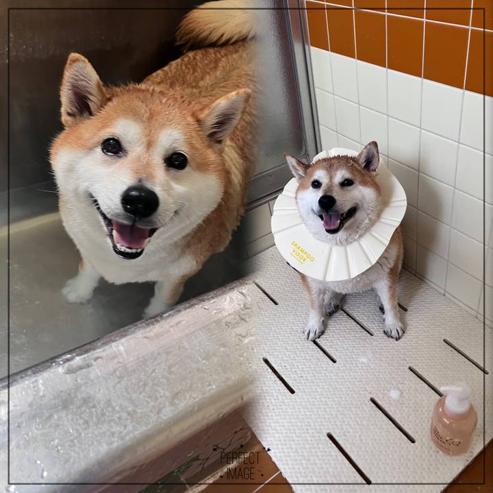 437aa2e9 f115 4f5e 9469 88d03d1ab896 1681870621300