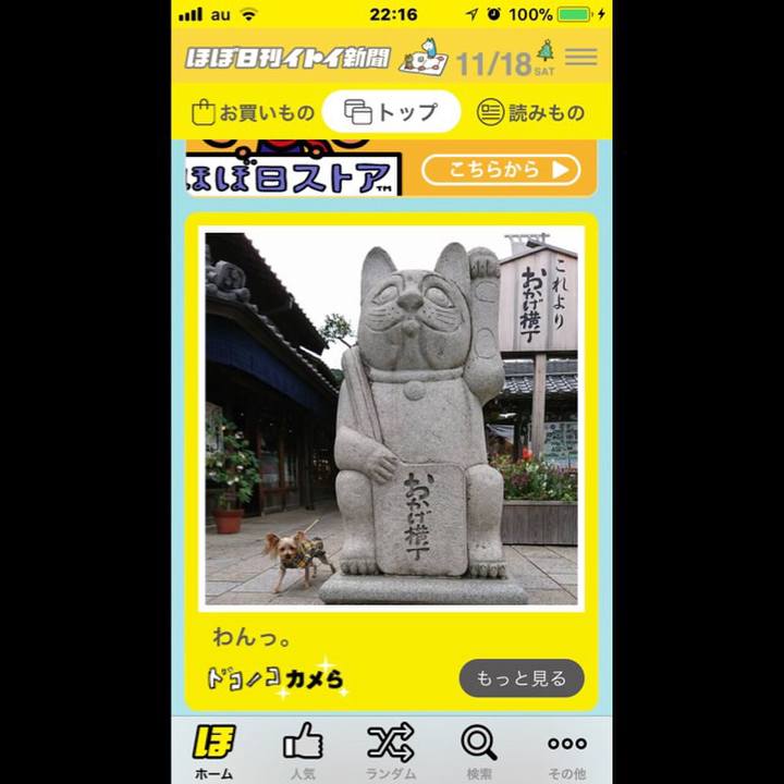 437ab123 8146 4f18 8f2a 3f157c0d95ed 1511011054959