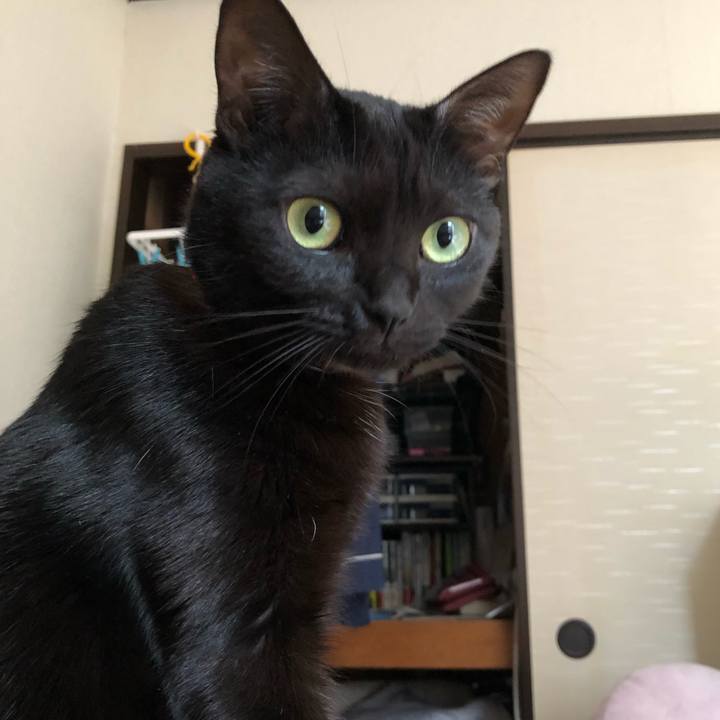 437ab261 530e 4146 b5b8 9f58ab106d0f 1545444649166