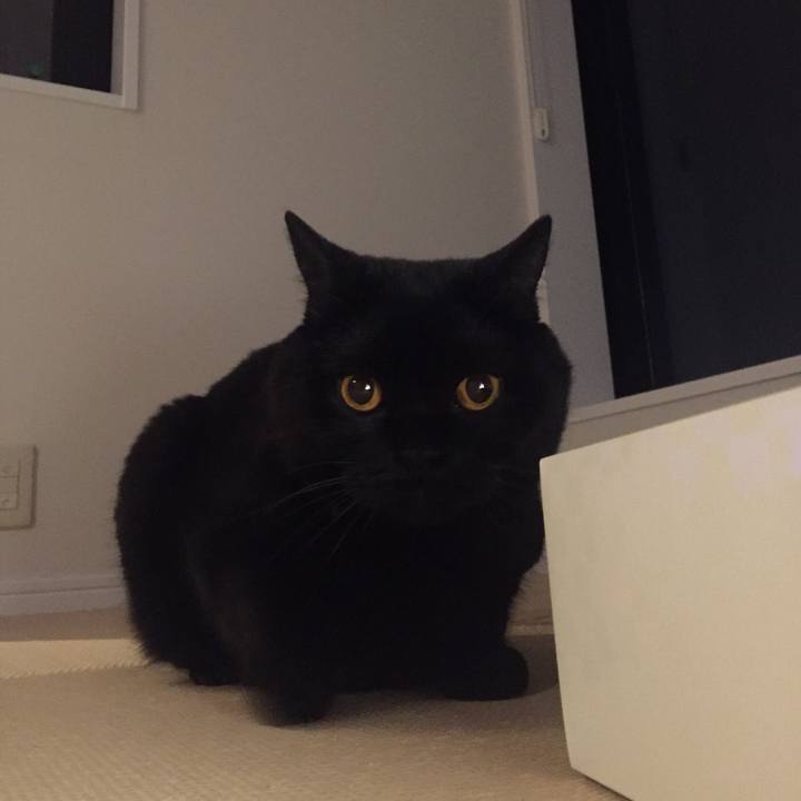 437ab33e 16ad 428b ad10 00c870c998dc 1590752230026