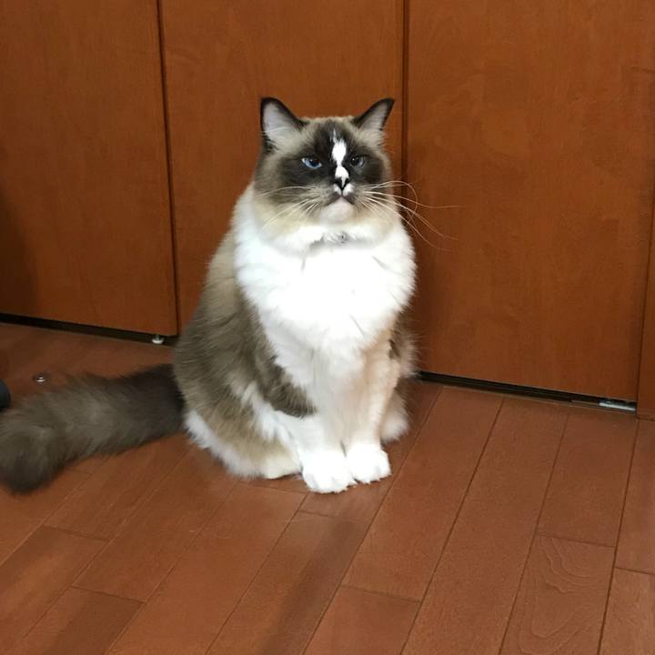 437ac476 b430 4d70 b949 05fdd9dd2c5e 1512131043156