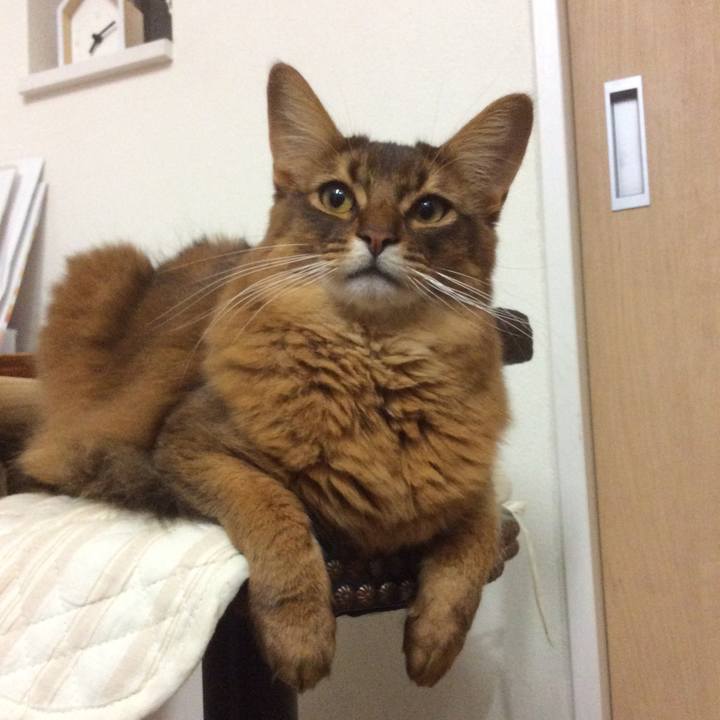 437adf05 da97 40bf bfef f954ef610a7e 1613087247599