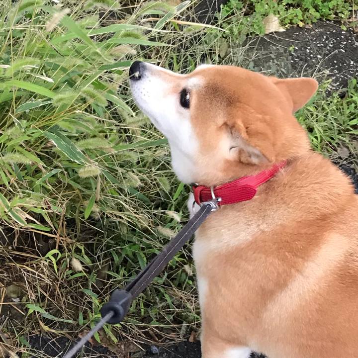 437ae78a 7d47 40cc be6a aad4853fc53c 1571707717928