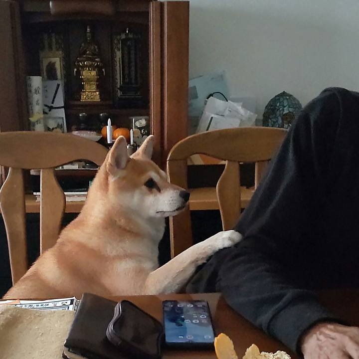 437b1c00 72c2 4def 9ec0 d6e5fcfb84e7 1763428385428