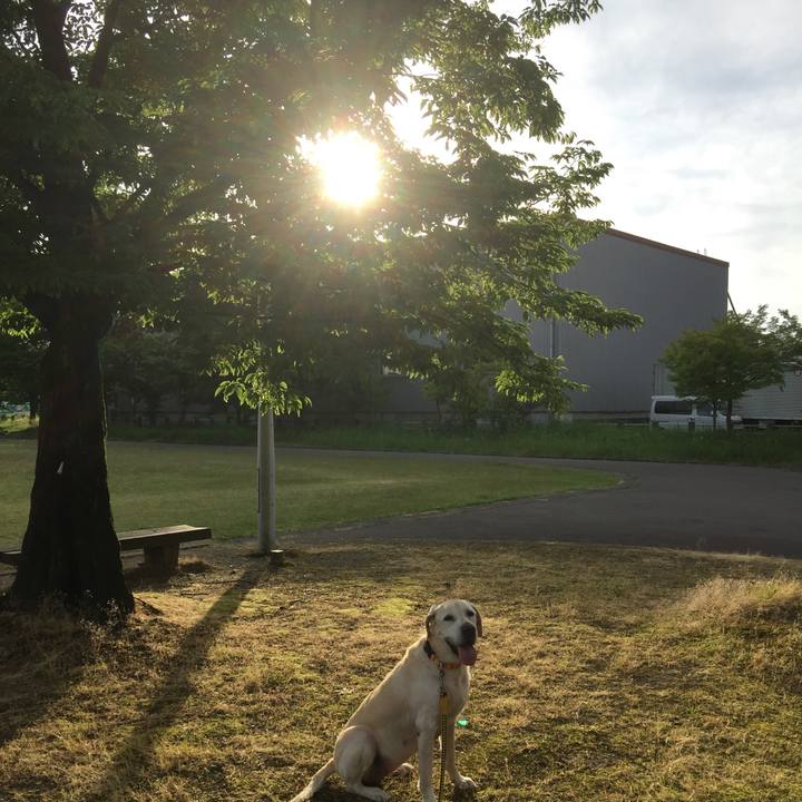 437b3d9b 48fe 4383 a664 529029f79e52 1555413400624