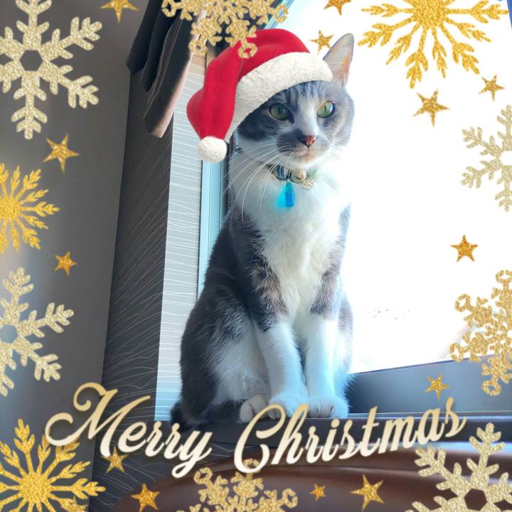 437b55d5 00ba 4ba1 af4c df57551dbc8b 1703415858195