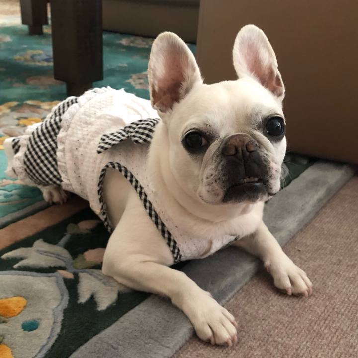 437bbdce 7d41 4110 8526 677654b43b12 1684663085357