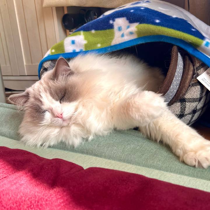 437beb72 8373 4c68 a01d ae6d205be293 1766452232574