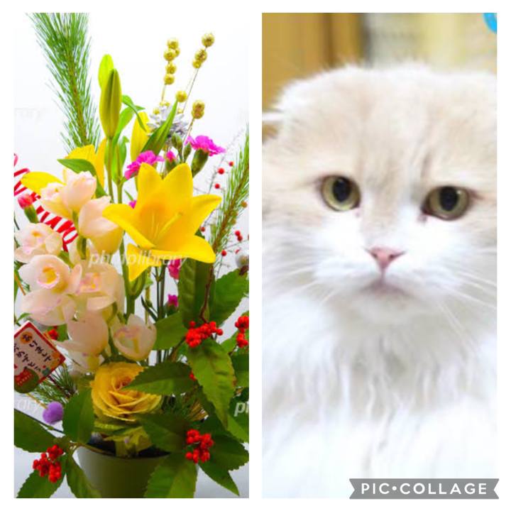 437bfda2 2f1e 4195 ba54 a8e72bf79d3b 1767227893195