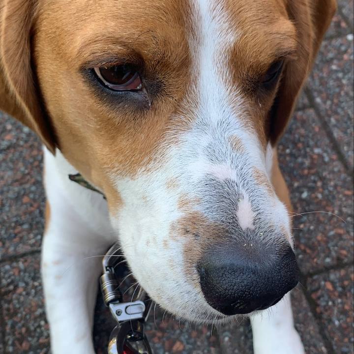 437c2230 65a1 4c27 b24a b9386ecfef43 1589417368261