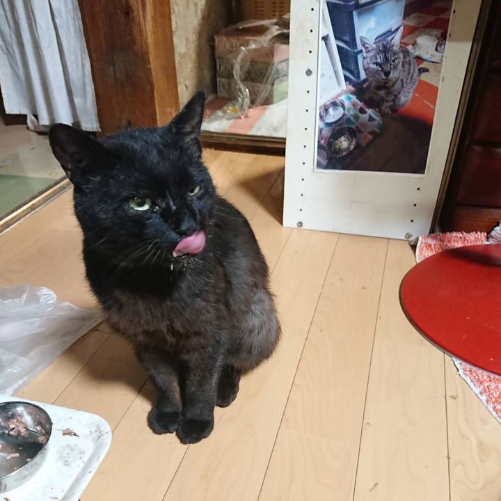 437c5b89 73ba 43ca ade0 5c00c29bbe79 1624793074569