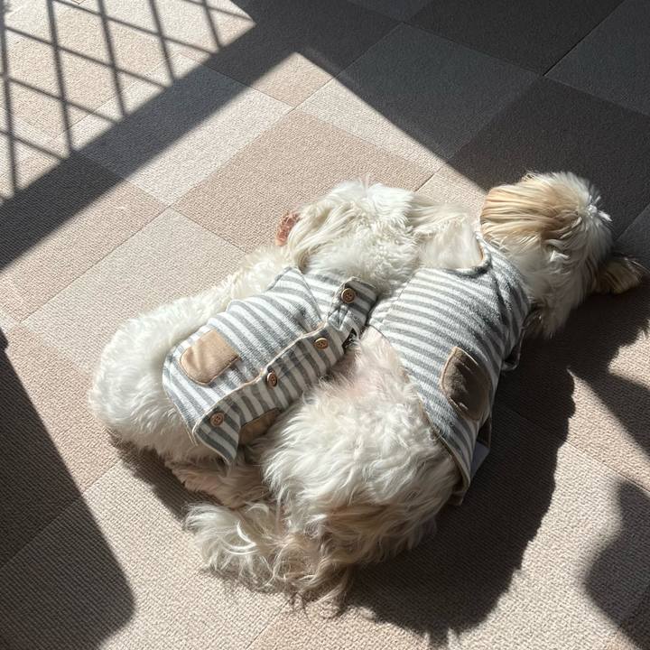 437c8e12 a309 4fed bb84 6b70bb0a4d9d 1676088686223