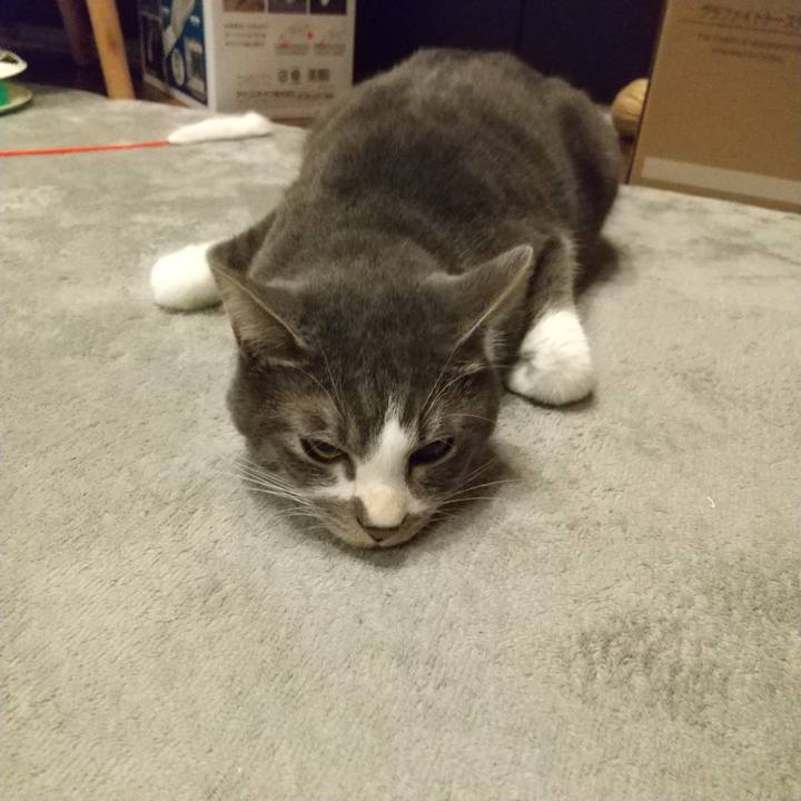 437c9372 958b 48cc 9e0c 31e7fe0e74cc 1607897275742