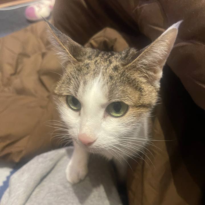 437c9e7c e11d 4640 ae23 8c204793bcec 1642512108766