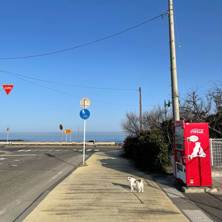 437cd7aa f6c8 45dd 8587 7e5cba46bcf9 1616194899556