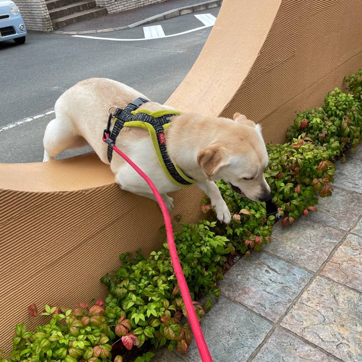 437ce79f 962d 4e63 9f1e c7cc0f7b9ac6 1632815002367