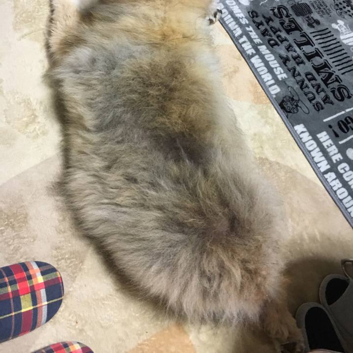 437cf6e7 1661 435a 9525 093e29273b73 1592284855668