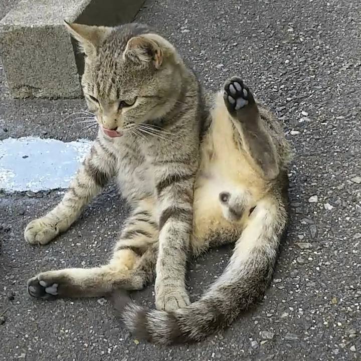 437cfa1a 2d29 45f7 b026 bad47c5e49be 1529212084552