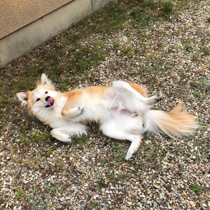 437d2006 b893 40f2 9793 177064cb6025 1588983400174