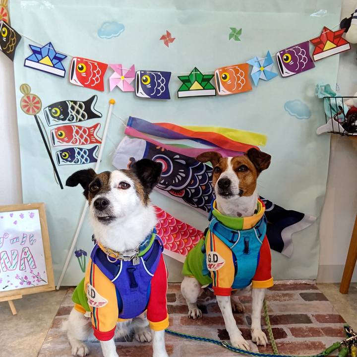 437d40f0 faa3 463f 80cb 270eca6cbbc7 1620221982431