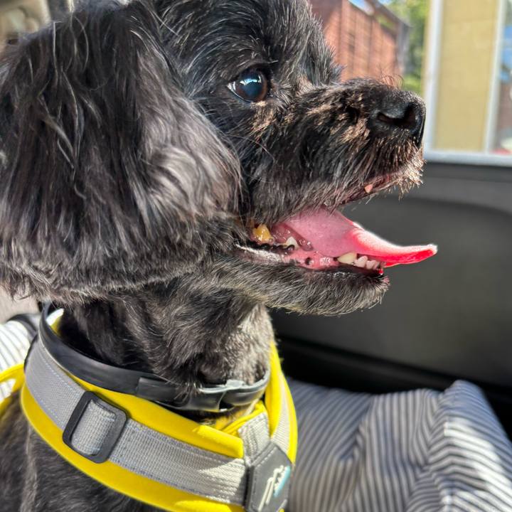 437d5e1e dffe 4cce a9ce c777a9b29339 1762180425544