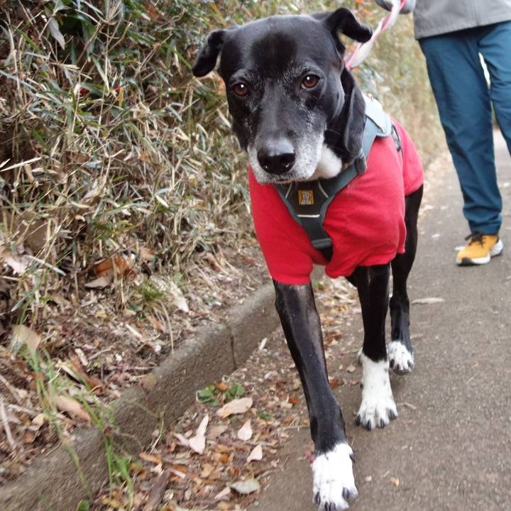 437d5e79 7667 4d6b 9461 8e3c787cbfd1 1736553983511